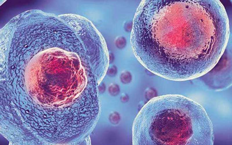 سلول درمانی چیست؟ راهنمای جامع سلول درمانی و کاربردهای آن در پزشکی مدرن
